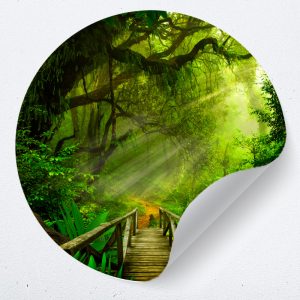 Muurcirkel jungle – zelfklevende behangcirkel