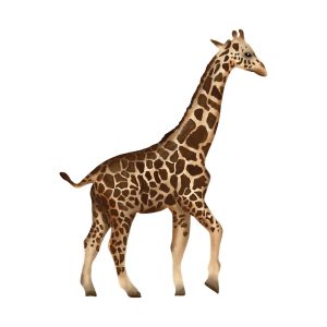 Muursticker giraffe babykamer