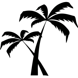 Palmbomen – Muursticker